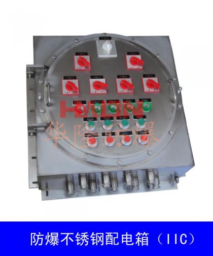防爆动力（照明）配电箱（IIC）